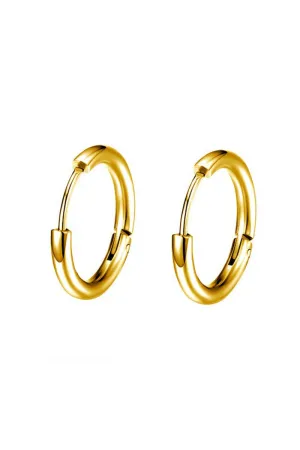 18K GOLD PLATED  TITANIUM STEEL EARRINGS_CWAJE0390