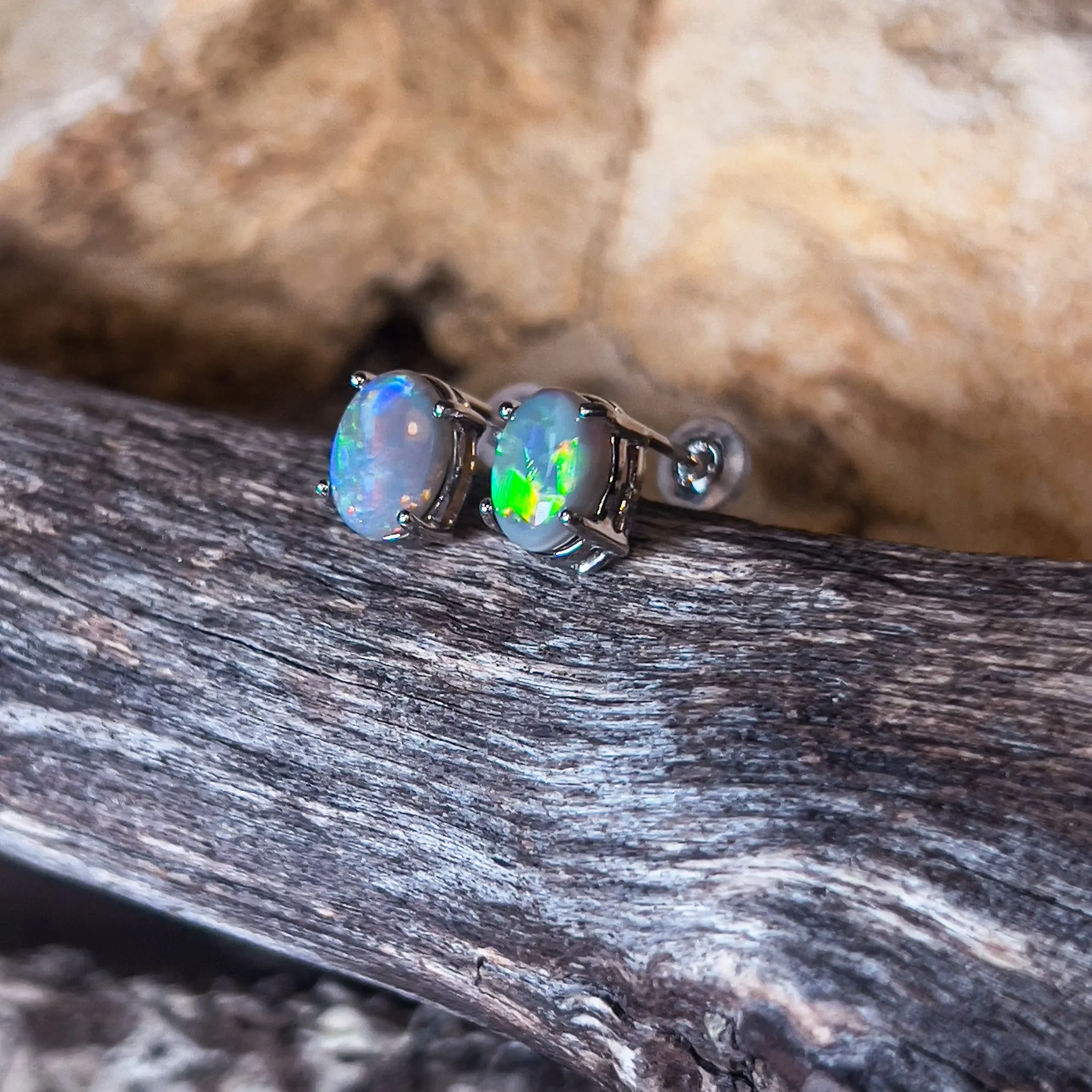 18kt White Gold Black Opal studs 1.2ct claw set