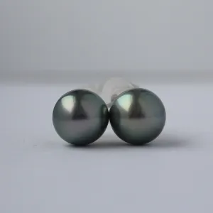 Black Cultured Tahitian Pearl (9mm) Stud Earrings in 14K White Gold